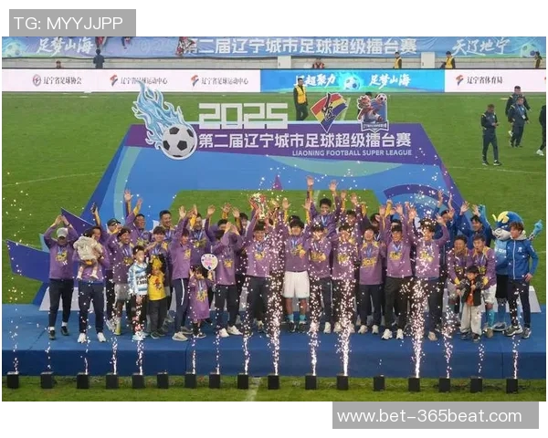 大连足球赛事门票购买指南及最新信息分享